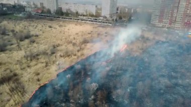 Orman yangını. Tarlada kuru çimenler yanıyor. Yanan ve kavrulmuş tarlaların manzarası. Şehir manzaralı. Hava görünümü.