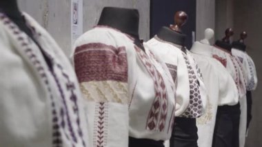 Elle işlenmiş geleneksel köylü bluzu - yani Romen