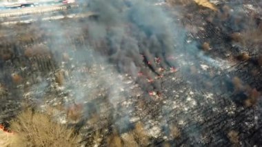 Orman ve arazi yangını. Kuru çimen yanıkları, doğal afet. Hava görüntüsü. Boş bir arazide güçlü ateş, yanan bir yerden güçlü duman. Alçak irtifada ateşin üzerinden uçuyor..