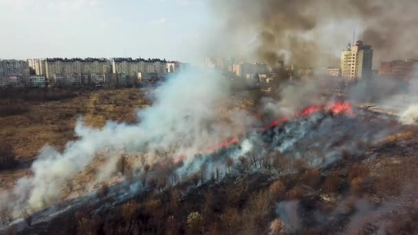 Grandes llamas de los incendios forestales. Vista aérea de incendios forestales en las laderas de las colinas. — Vídeos de Stock