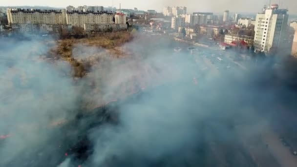 Сожженное поле и дым в лесу после пожара возле города — стоковое видео