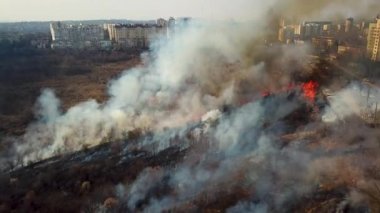 Kuru otları yakıyorum. Orman manzaralı insansız hava aracı faciası. Dumanla yanıyor. Parlak orman yangını dokusu. Ekoloji. Çevre koruma. Yanmış topraklar. Drone. Doğa