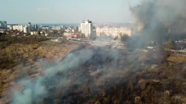 Campo quemado y humo en el bosque después de un incendio cerca de la ciudad — Vídeo de stock