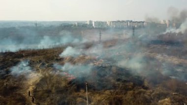 Orman felaketi ateşliyor. Vahşi yangınlar orman ortamını yok eder. Yangın dumanı. Yanan orman yangını tahrip oldu