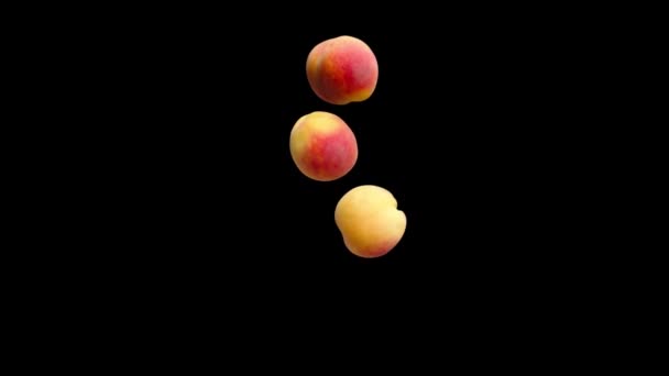 3つの桃が黒い背景に落ち. — ストック動画
