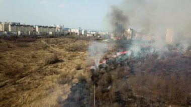 Orman felaketi ateşliyor. Vahşi yangınlar orman ortamını yok eder. Yangın dumanı. Yanan orman yangını tahrip oldu