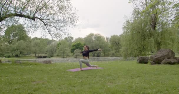 Porträtt av en ung kvinna som utövar yoga i trädgården. kvinnlig lycka. i bakgrunden finns en sjö. Hälsosam livsstil och begreppet avkoppling. Ung kvinna som gör yoga i parken — Stockvideo