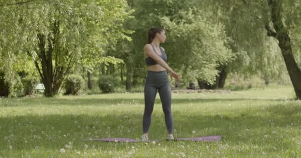 Fitness Girl Jeune Femme Faisant Des Exercices Dans Parc — Video
