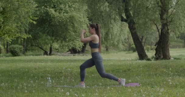 The active girl is training on the green grass in the park. Sporty lifestyle. Outdoor training — Stockvideo