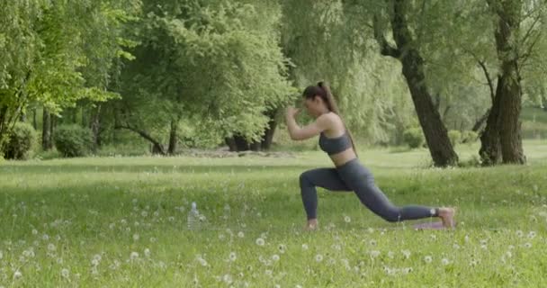 Junge Fitte Und Sportliche Frau Konzept Für Fitness Sport Urbanen — Stockvideo