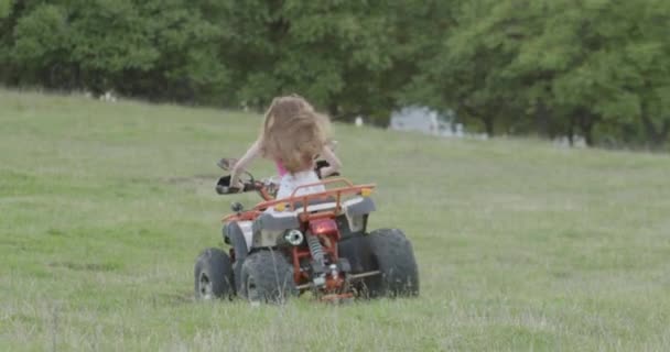 無料の女性は緑の芝生の平野の森の近くのクワッドに乗る Atvオフロードアドベンチャー 少女はクワッドサイクル 観光を駆動します 夏の野外活動 屋外旅行 — ストック動画