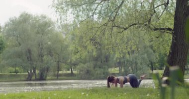 Kahverengi saçlı çekici bir kadın, kalçasını ve bacak kaslarını doğadaki çimlerin üzerinde, mor bir halıda eğitiyor..