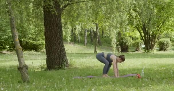 Fit Vrouw Doet Morgens Yoga Oefeningen Het Park Rust Concentratie — Stockvideo