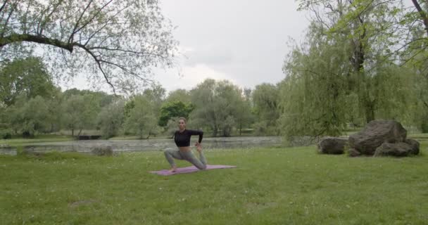 Yaz Aylarında Bir Parkta Genç Fitness Kadın Egzersiz — Stok video