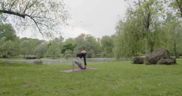 Parkta Sabah Yoga Egzersizi Yapan Zinde Bir Kadın Huzur Konsantrasyon — Stok video