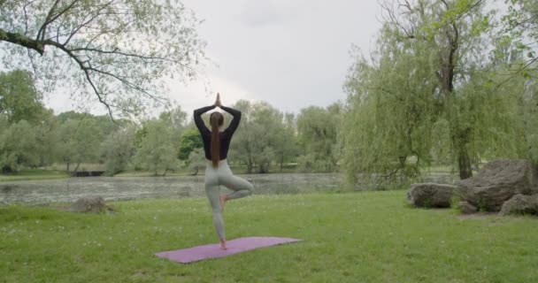 Yoga Exercício Ação Saudável Parque — Vídeo de Stock