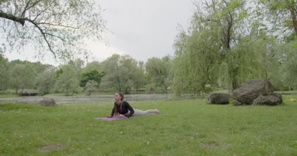 Parkta Sabah Yoga Egzersizi Yapan Zinde Bir Kadın Huzur Konsantrasyon — Stok video