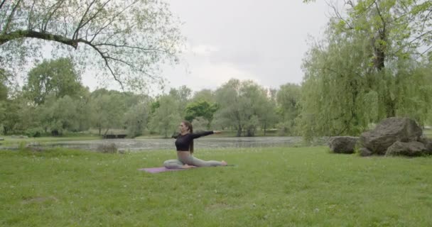 Fit Woman Doing Morning Yoga Exercises Park Tranquility Concentration Healthy — Stock Video