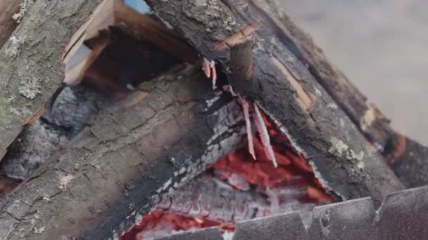 Close Image Burning Wood Medium Heat Provide Warmth Workers — Video