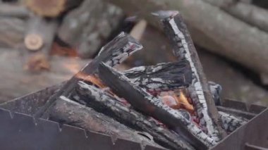 Brezilya 'da yanan, uzun kesilmiş odunlar. Bir ev bahçesindeki açık hava görüntüsü