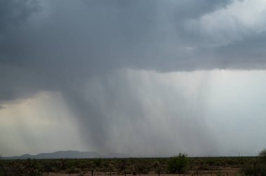 Arizona 'da muson yağmurları