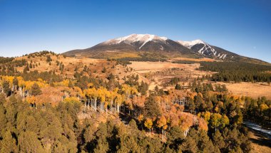  Aerial of snow capped San Francisco Peaks with golden aspens clipart