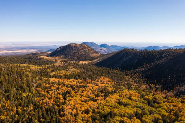 Árvores coloridas de outono no Arizona com montanhas no fundo — Fotografia de Stock