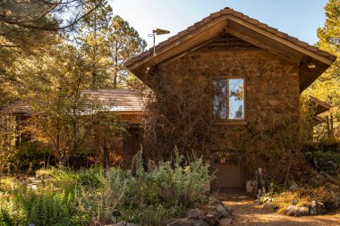 Arizona 'daki Flagstaff botanik bahçesinde ziyaretçi ve bitki bahçesi.. 