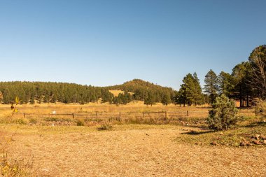 Kuzey Arizona otlakları, çitleri ve ağaçları olan bir yer..