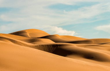 Kaliforniya 'daki Algodones kumulları Yuma Çölü yakınlarında.