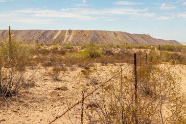 Ajo, Arizona yakınlarındaki maden kazıkları. 