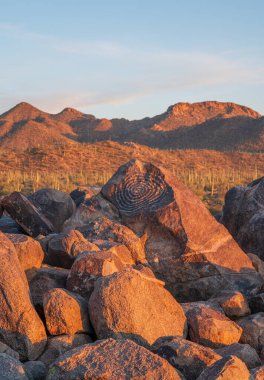 Tucson 'daki Sinyal Tepesi' nde antik petroglifler