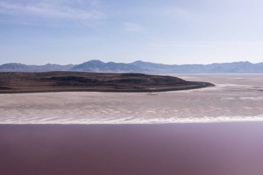 Utah 'taki Büyük Tuz Gölü' nde Pembe Göl. Kurak sahilde Spiral Jetty.