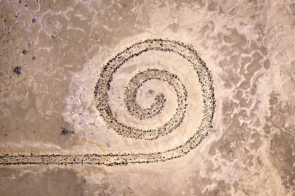 Spiral Jetty Utahs boyunca Büyük Salt Lake, İHA görüşü