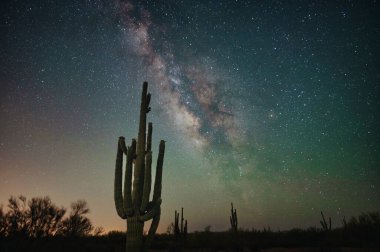 Saguaro Kaktüsü üzerinde Samanyolu Galaksisi ile Arizona Çölü manzarası 