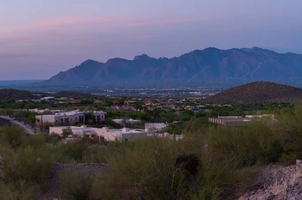 Tucson Arizona Házak Catalina Hegyekkel Távolban Kék Óra Este — Stock Fotó