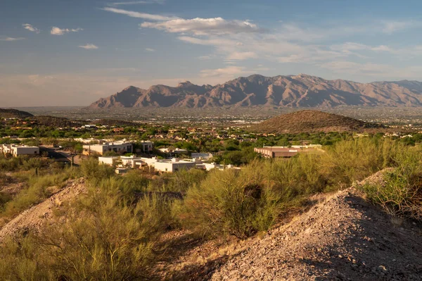 Uzakta Catalina Dağları olan Tucson Arizona evleri. Çöl günbatımı renkleri. 
