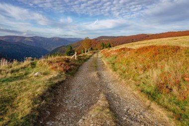 Sonbahar manzarası Vosges Dağları, Alsace Fransa 'daki sonbahar renkli ağaçların manzarası. Güzel doğa yürüyüşü.. 