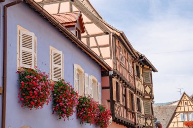 Equisheim, Fransa. Alsace 'de güzel mimarisi olan eski evler. Pencereden sarkan çiçekler. 