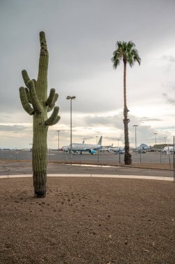 Tucson, Arizona, July 28, 2022. Airplanes on tarmac at Tucson airport. Saguaro cactus in foreground. 