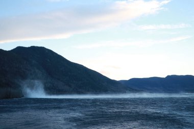 Norveç 'te dağ nehri ve dağlar. Suda güçlü bir rüzgar var. Rüzgardan esiyor. Norveç doğasının güzelliği. Nehir kıyısında. Norveç 'te yüksek bir nehrin kıyısındaki kozalaklı çam ağaçları