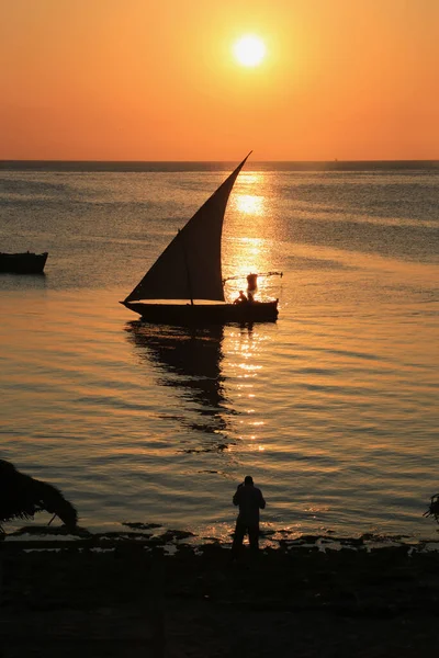 Seyahatlerden Zanzibar Resimleri — Stok fotoğraf