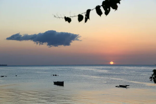 Seyahatlerden Zanzibar Resimleri — Stok fotoğraf