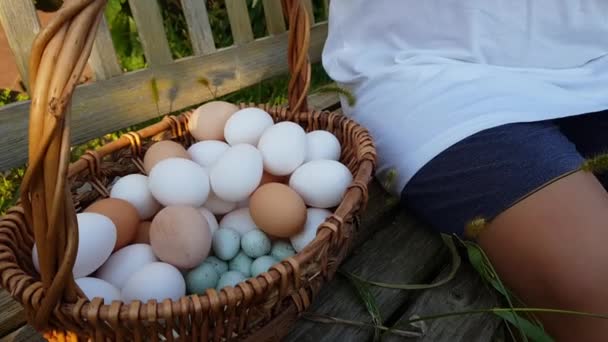 Criança Coloca Codornizes Ovos Galinha Cesta Produto Agrícola Ecológico Ovo — Vídeo de Stock