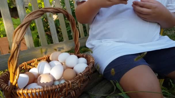 Child Puts Quail Chicken Eggs Basket Eco Friendly Farm Product — Stock Video