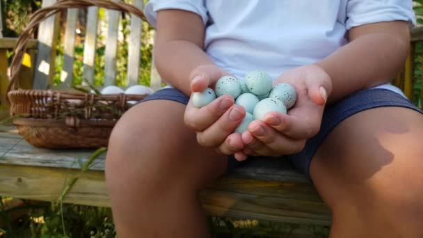 Niño Sostiene Huevos Azules Codorniz Sus Manos Verano Rancho Huevos — Vídeo de stock