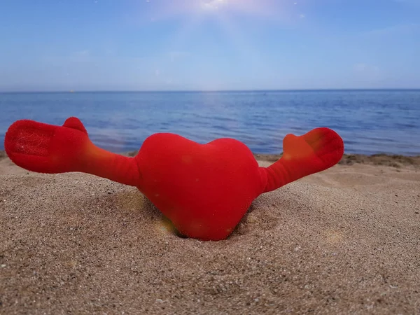 Sulla Sabbia Sulla Spiaggia Cuore Morbido Rosso Giocattolo Tiene Mani — Foto Stock
