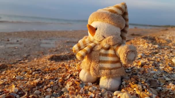 바다 근처 모래가 많은 해변에 사는 장난감 눈 사람의 모습. 해변에서의 크리스마스 — 비디오