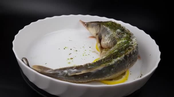 검은 배경에 흰 접시 위에 철갑상어. 값비싼 흰돌고래 요리 — 비디오