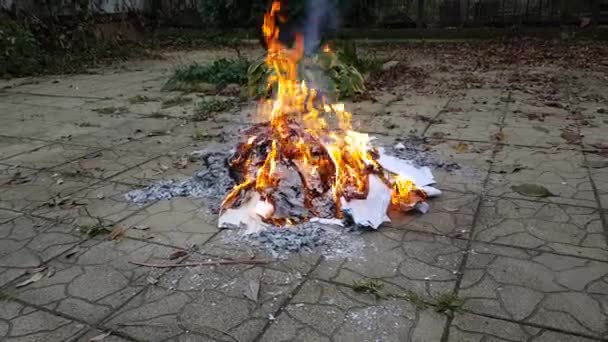 Les documents et les papiers sont en feu. nouvelles chaudes — Video